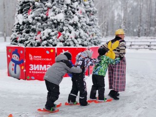 Крещенский драйв и уютные посиделки: куда бежать за настроением в Талдоме 18 января