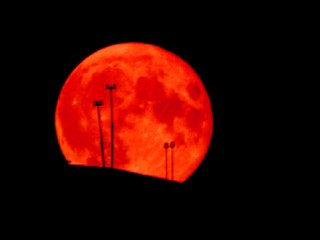 Кто сможет увидеть первое суперлуние года, рассказали ученые