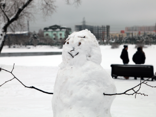 Новый снегопад накроет Подмосковье в этот день
