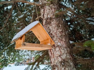 Одинцовские школьники освоили «бердвотчинг»