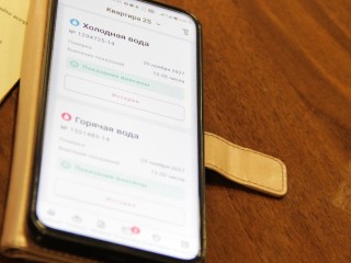 В Красногорске пенсионеров научат платить за коммуналку, не выходя из дома