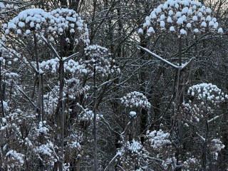 Гороскоп на 20 января 2026: Козерогам и Стрельцам советуют держать язык за зубами, а Овнам и Весам грозят финансовые потери
