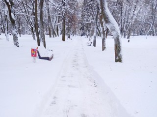 Парки Щелкова снова открыли для посещения