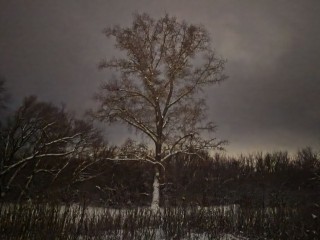 Ночь на Старый Новый год в Подмосковье будет морознее новогодней