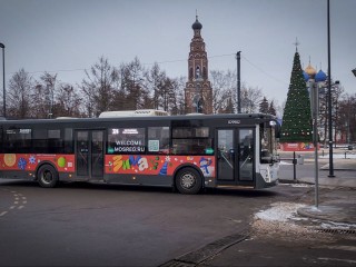 Какие автобусы довезут до купелей в ночь на 19 января в Шатуре
