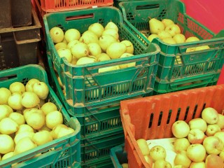 Фрукты под микроскопом: кто и как следит за качеством и безопасностью продуктов на ярмарках Подмосковья