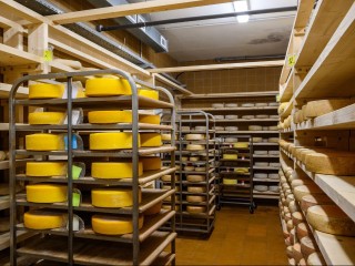 Два года в топе: история фермы, где туристов манят не только пейзажи, но и сыроварня