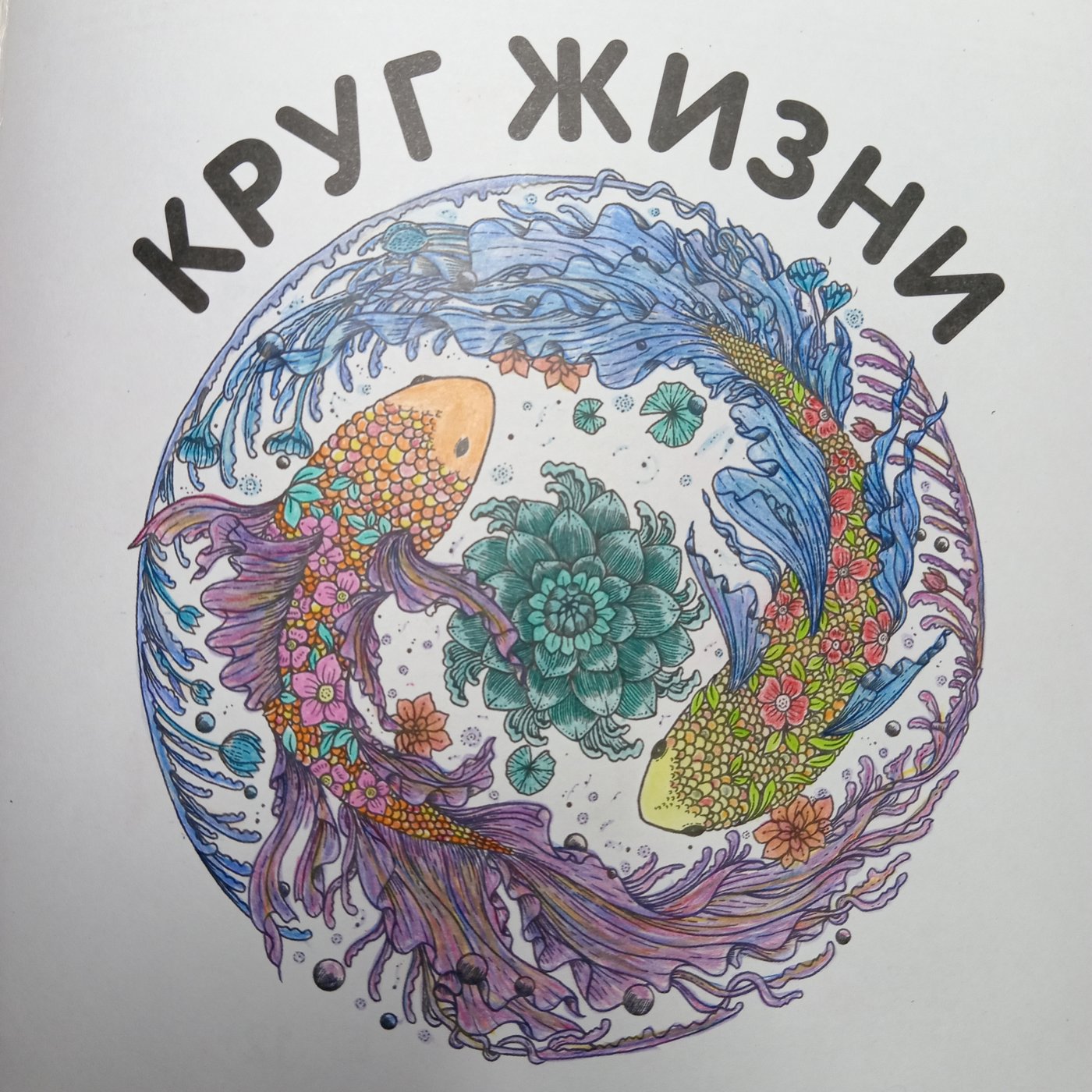 Работа от Ran Fujimievich