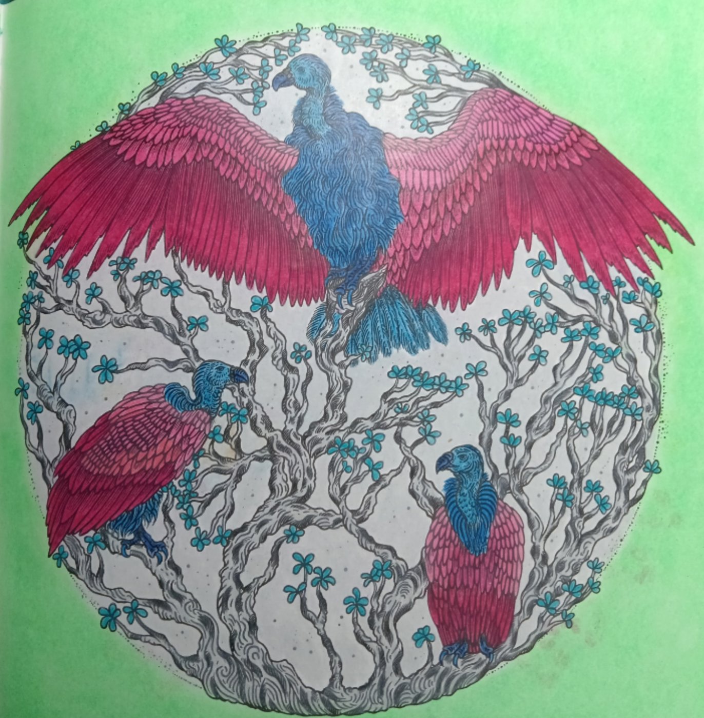 Работа от Ran Fujimievich