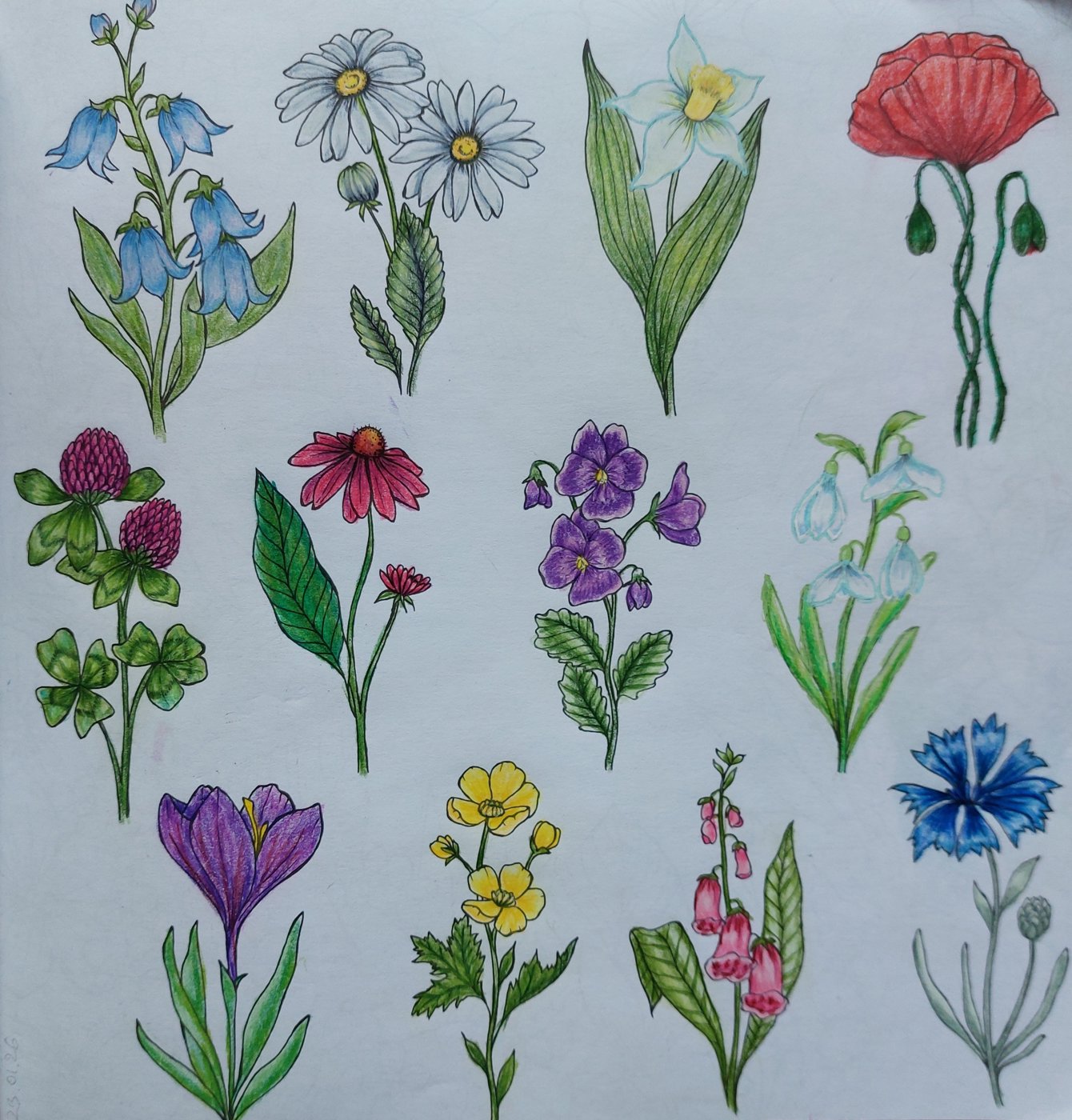 Работа от Alexia