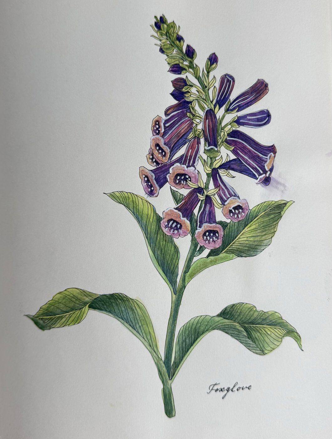 Работа от Anna_08