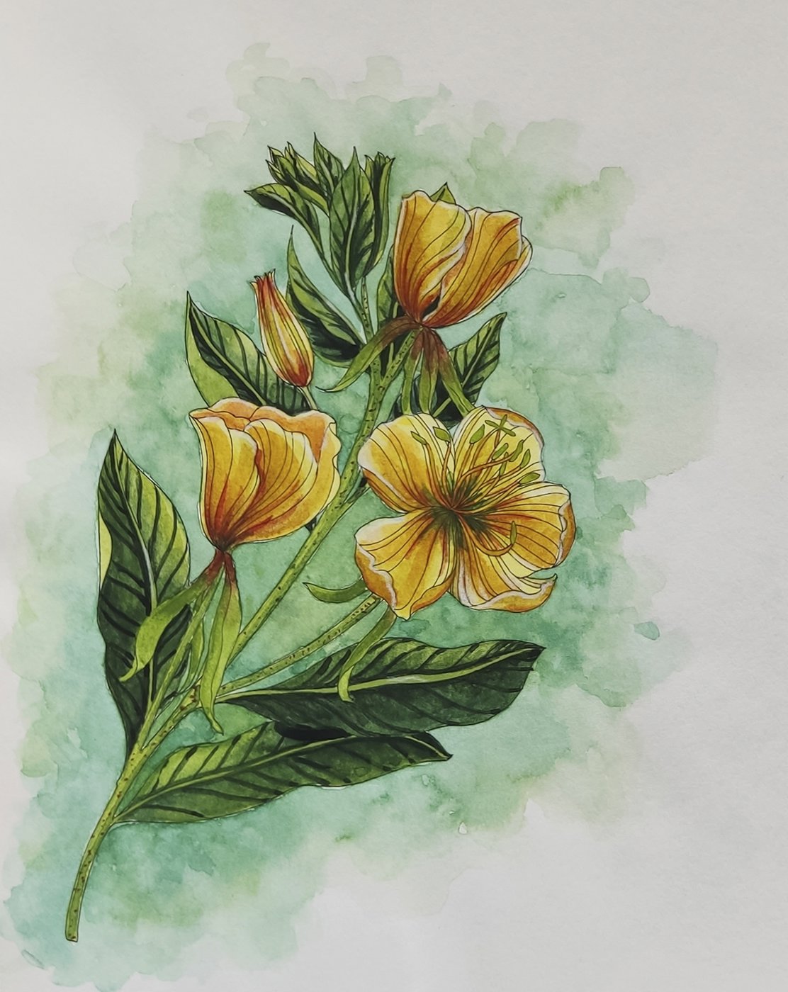 Работа от Katerina