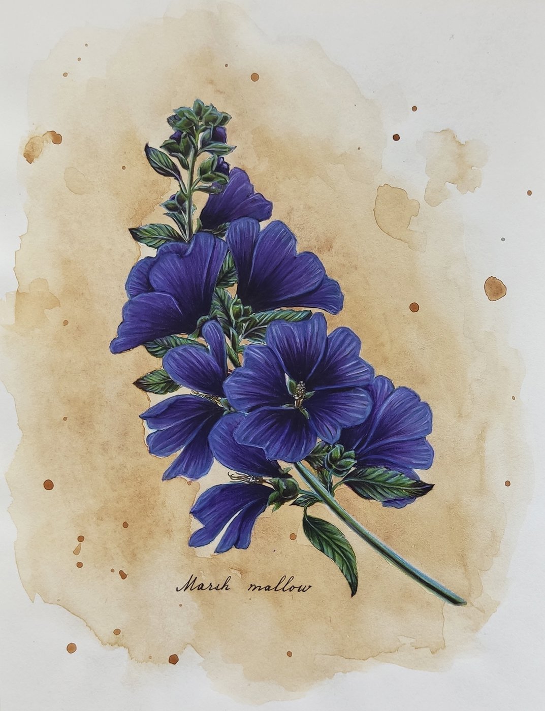 Работа от Katerina