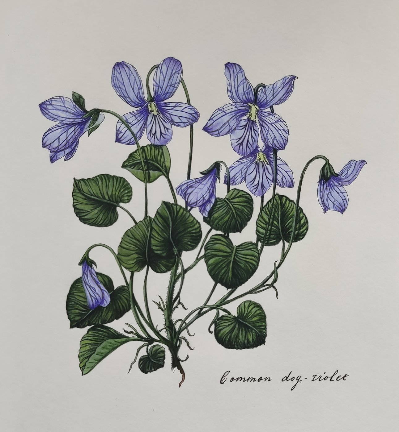 Работа от Katerina