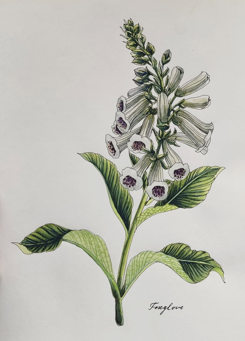 Работа от Katerina