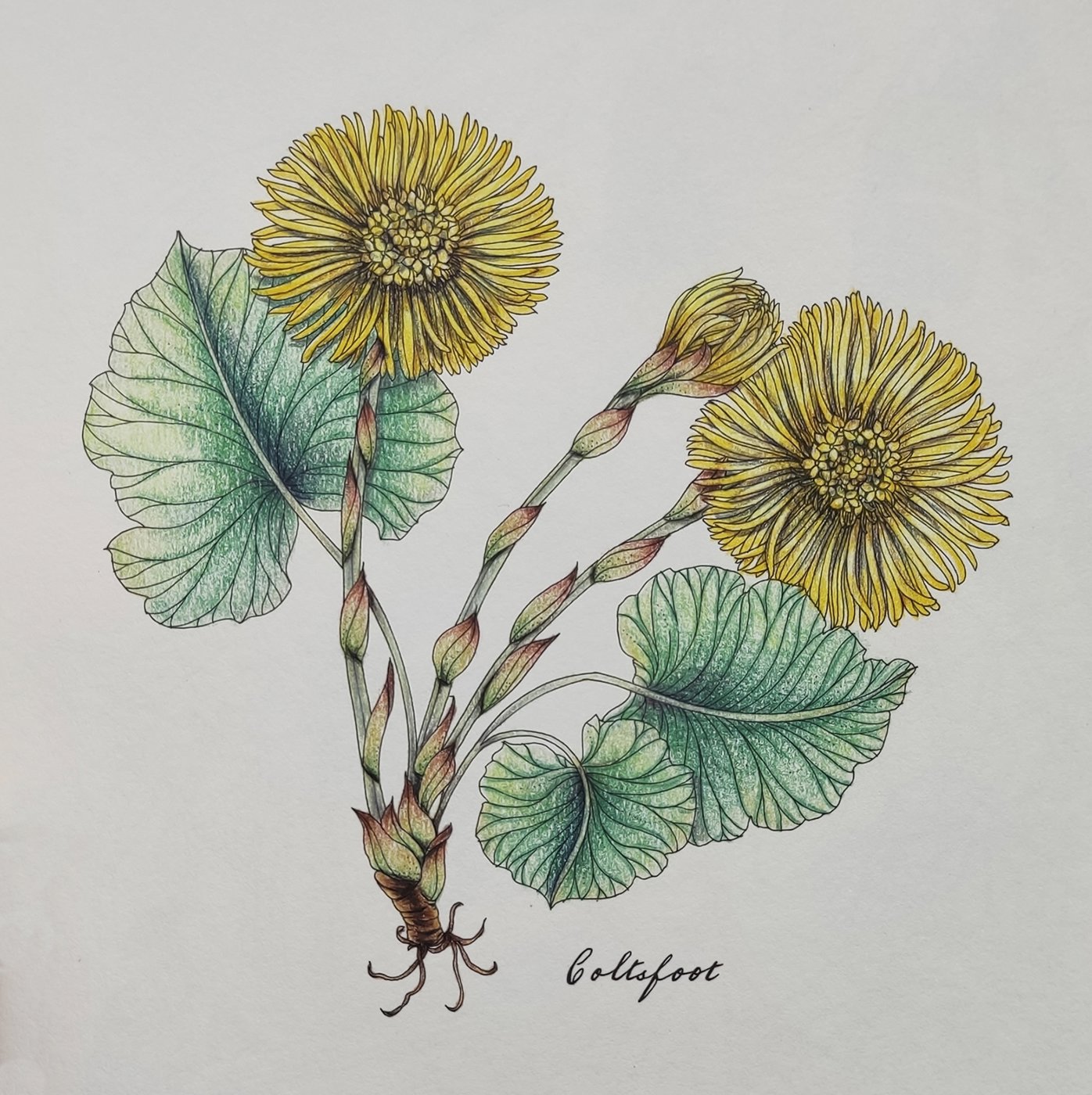 Работа от Katerina