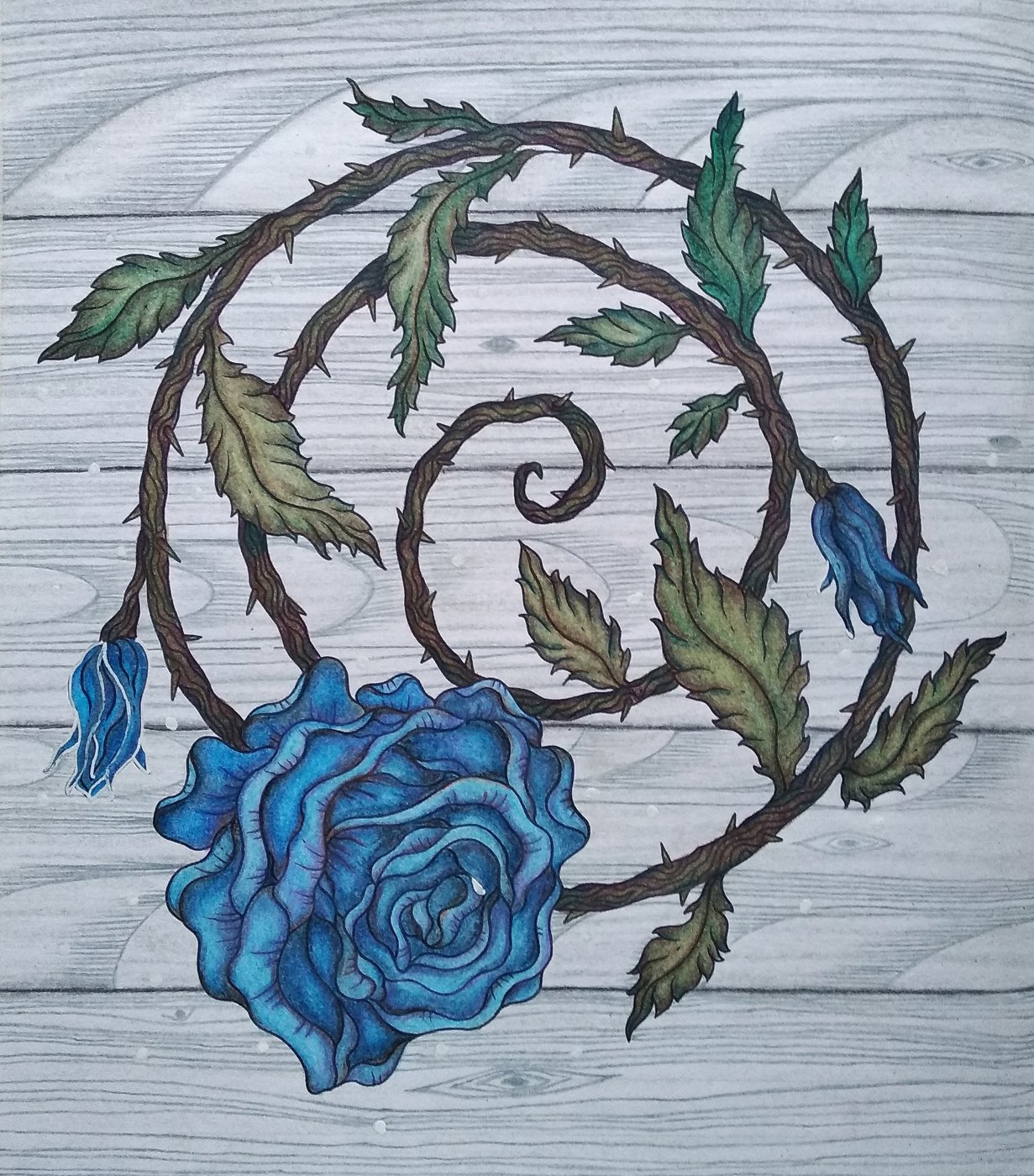 Работа от Katerina