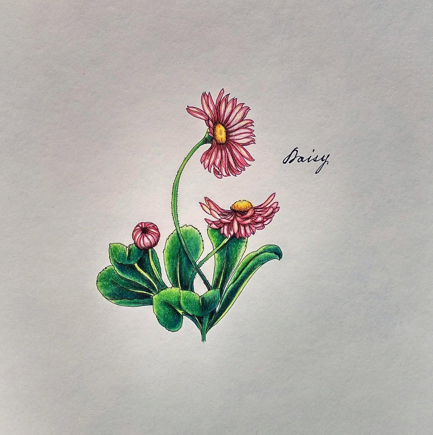 Работа от Katerina