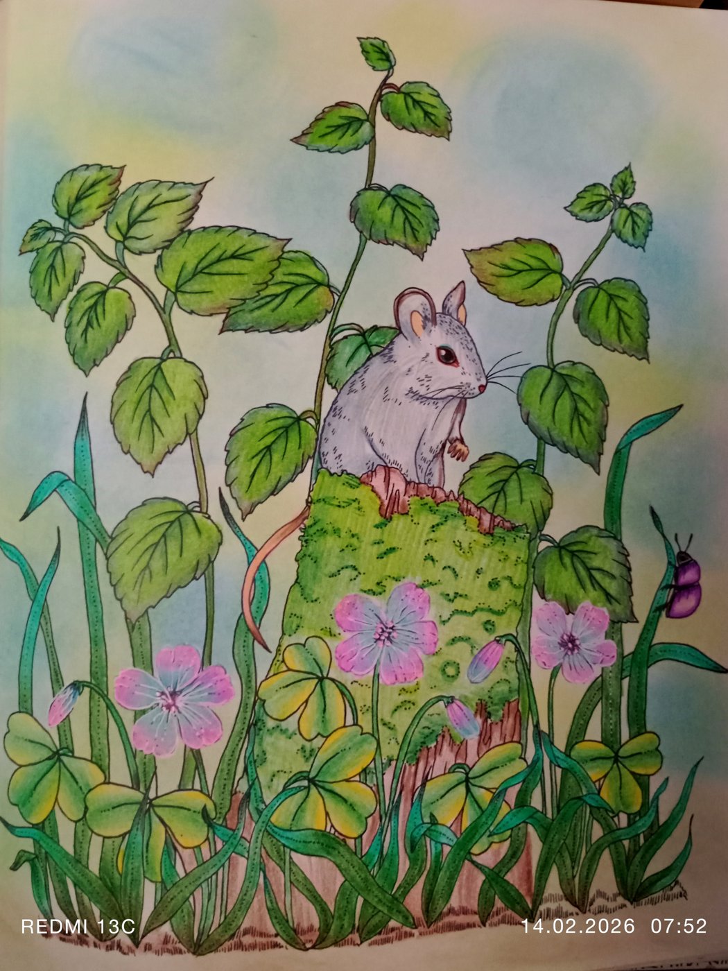 Работа от Анна