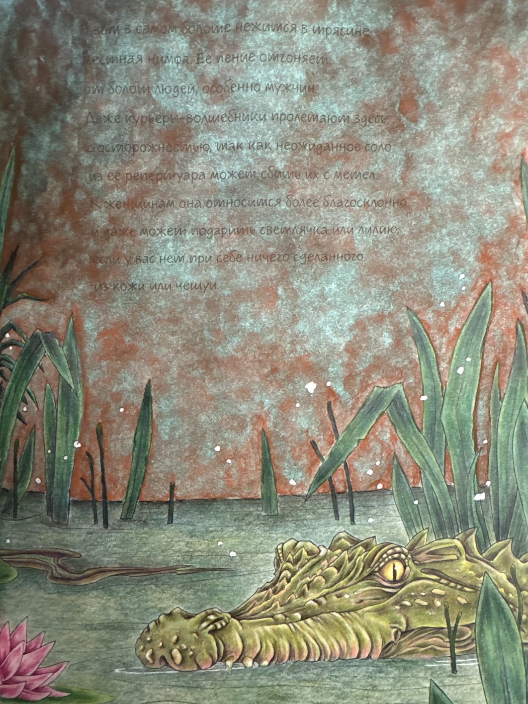 Работа от Nastya505 (2/2)