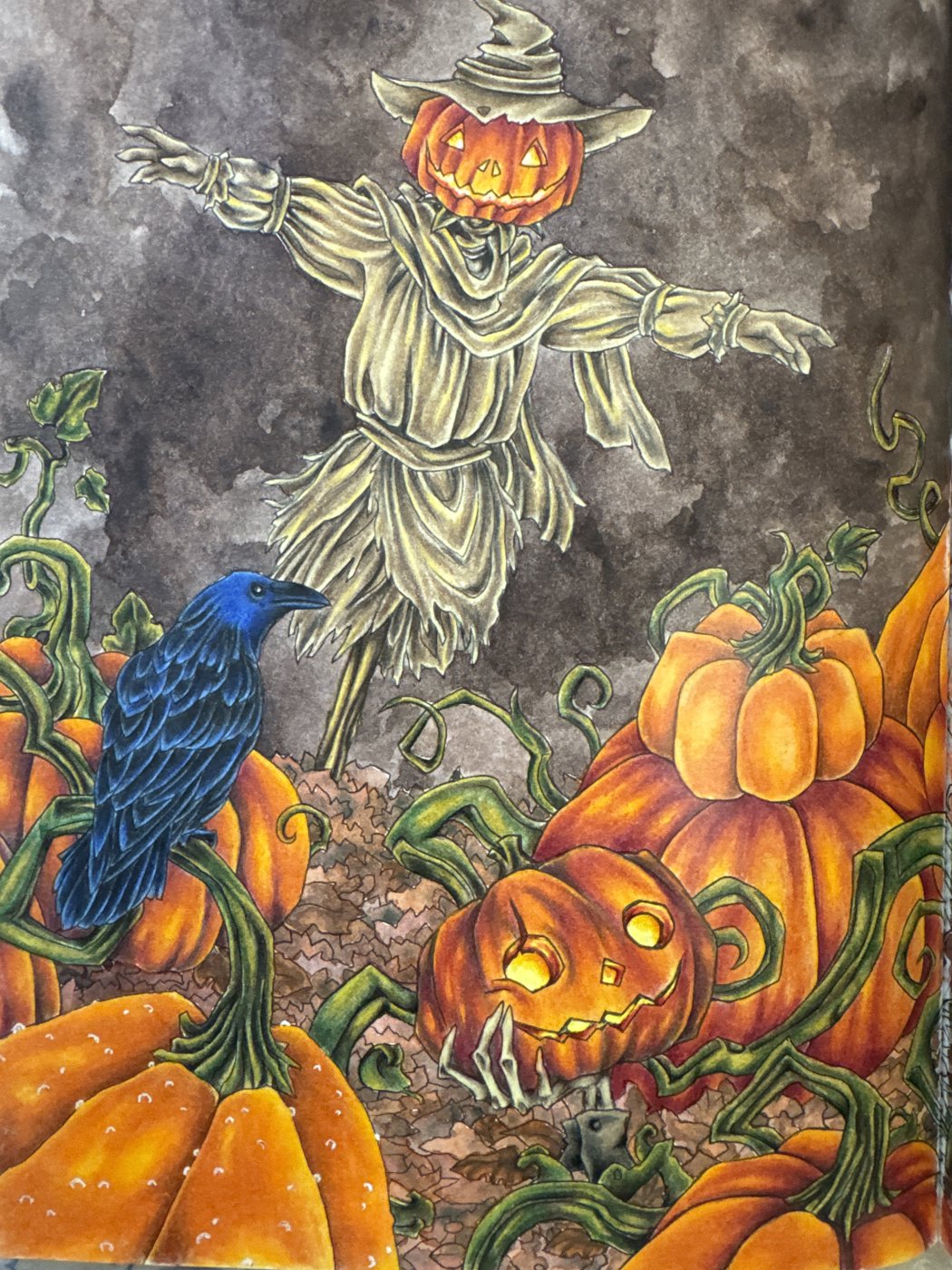 Работа от Nastya505 (1/2)