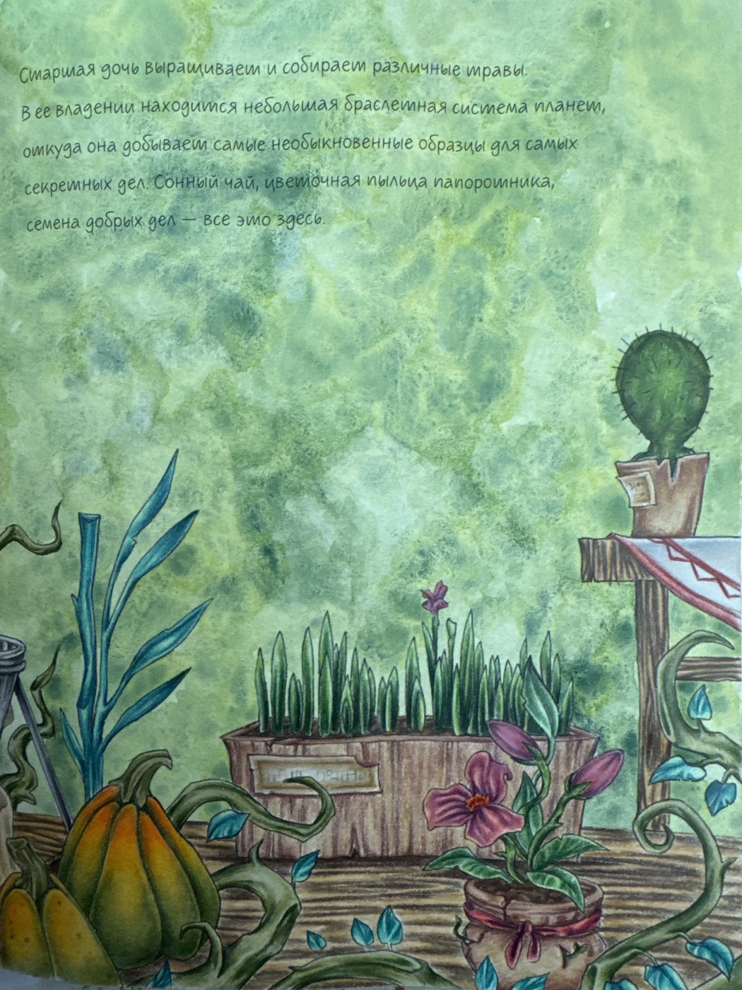 Работа от Nastya505 (2/2)