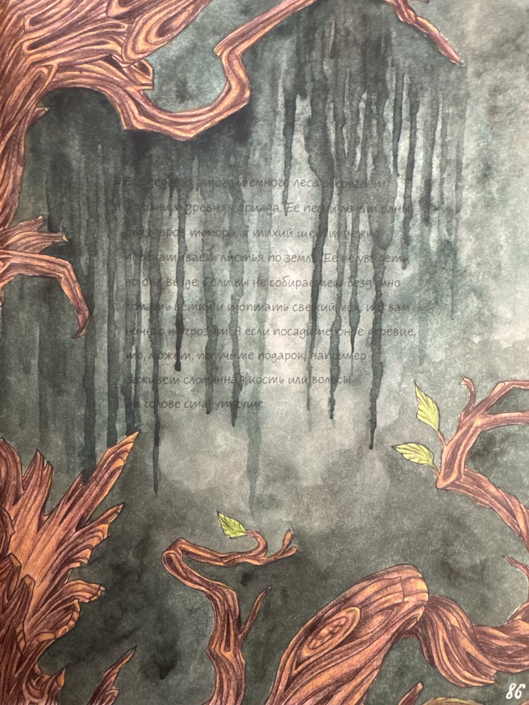 Работа от Nastya505 (2/2)