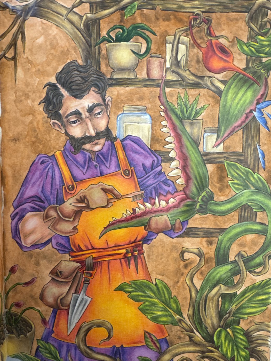 Работа от Nastya505 (2/2)