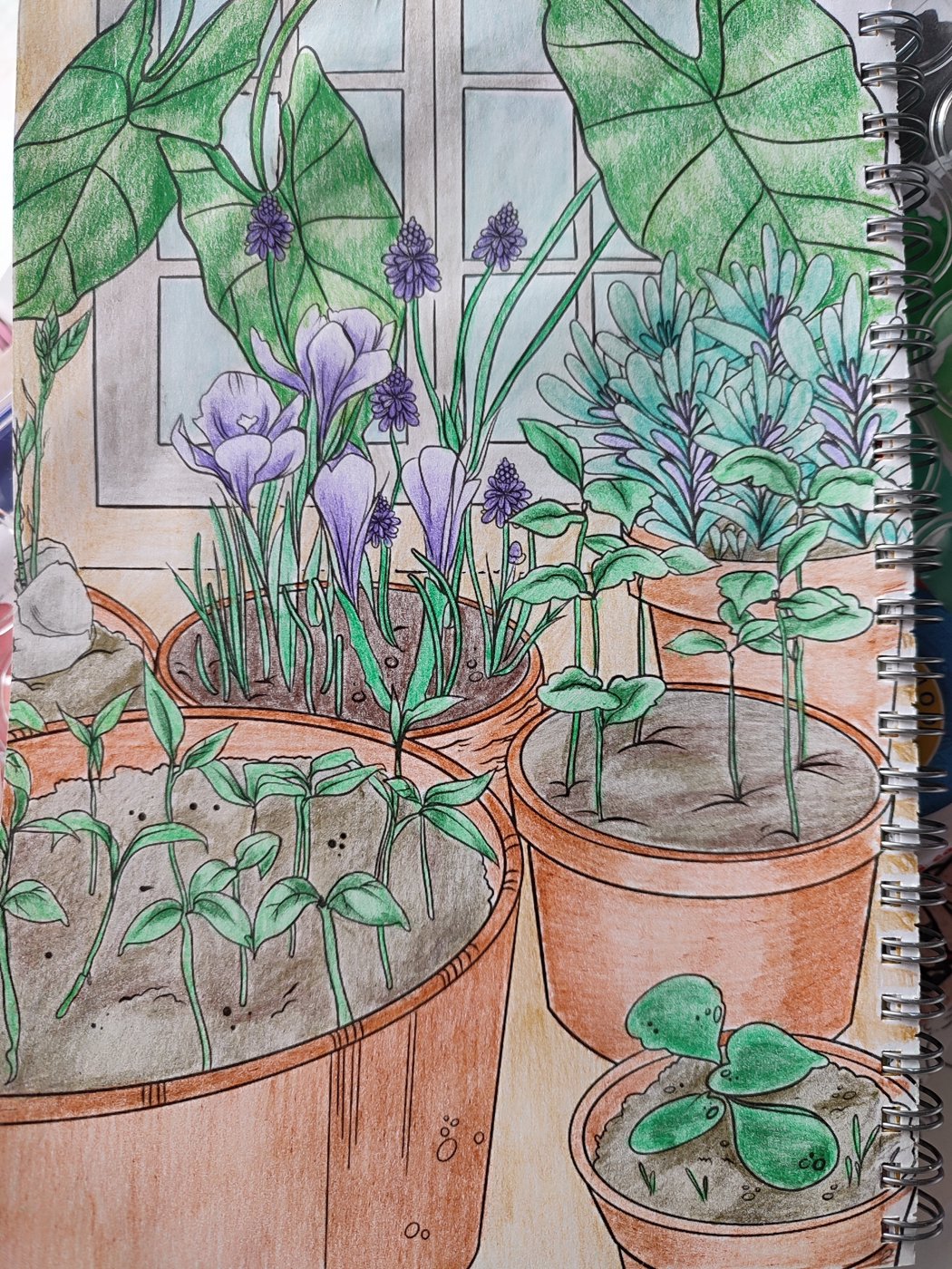 Работа от Aleks_Yosh