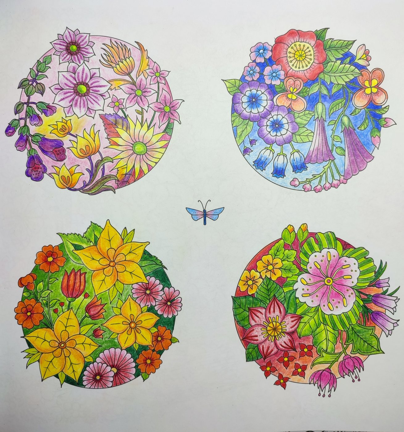 Работа от Yulia_yulyashka