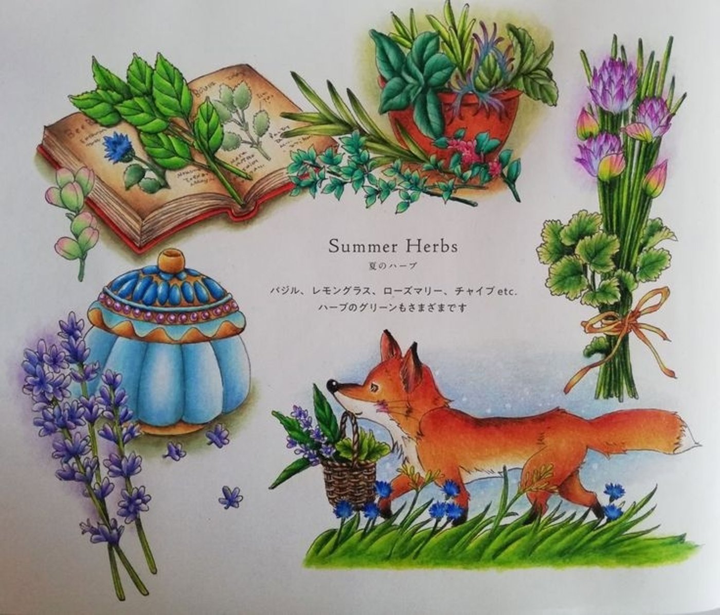 Работа от Irina_coloring_hobby
