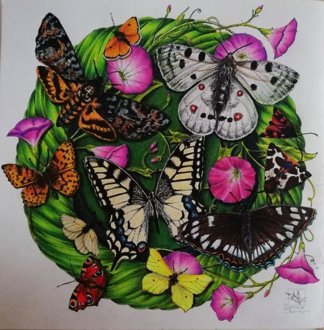 Работа от Irina_coloring_hobby