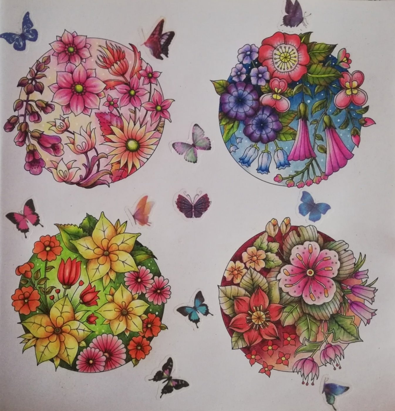 Работа от Irina_coloring_hobby