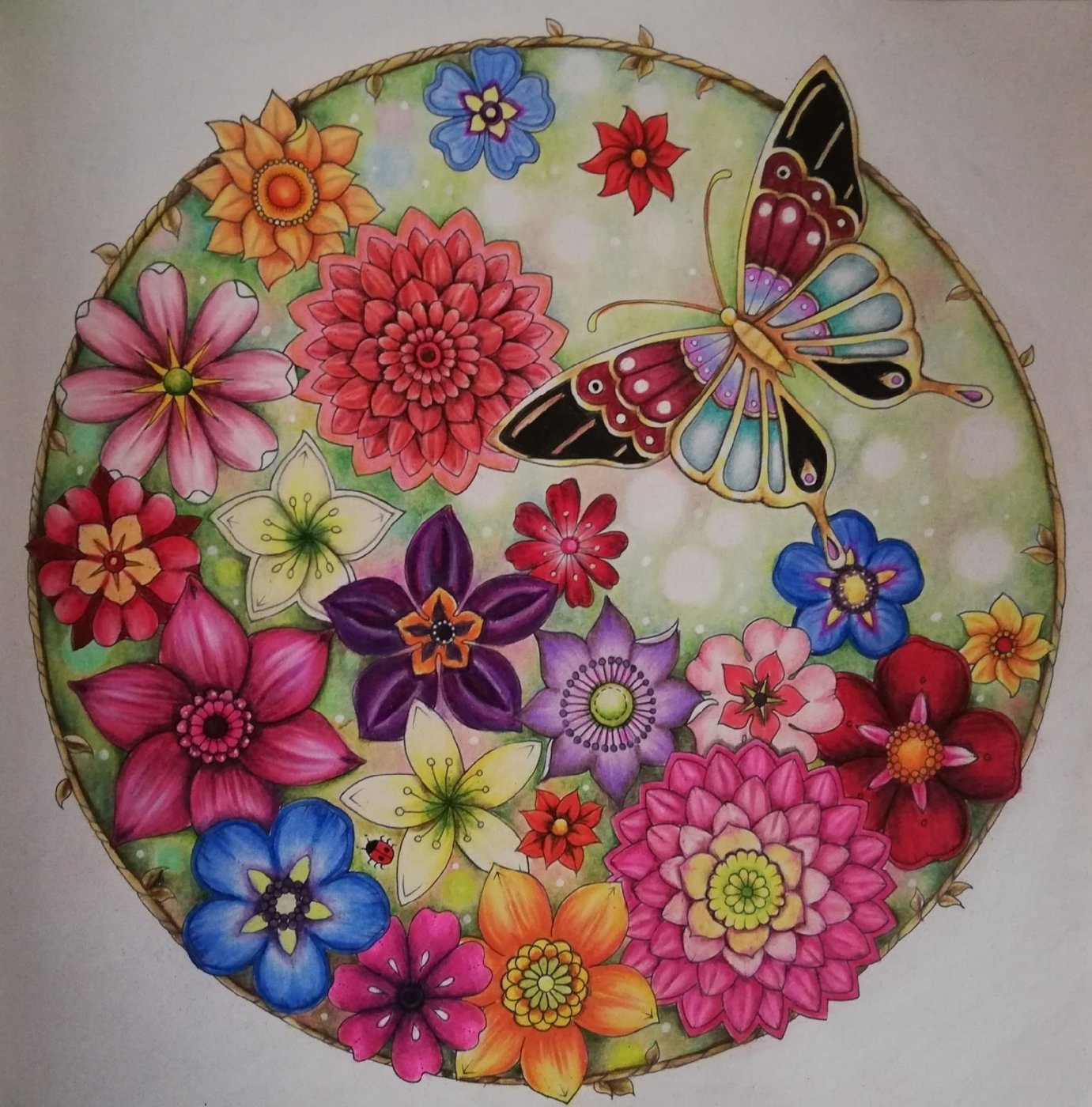 Работа от Irina_coloring_hobby