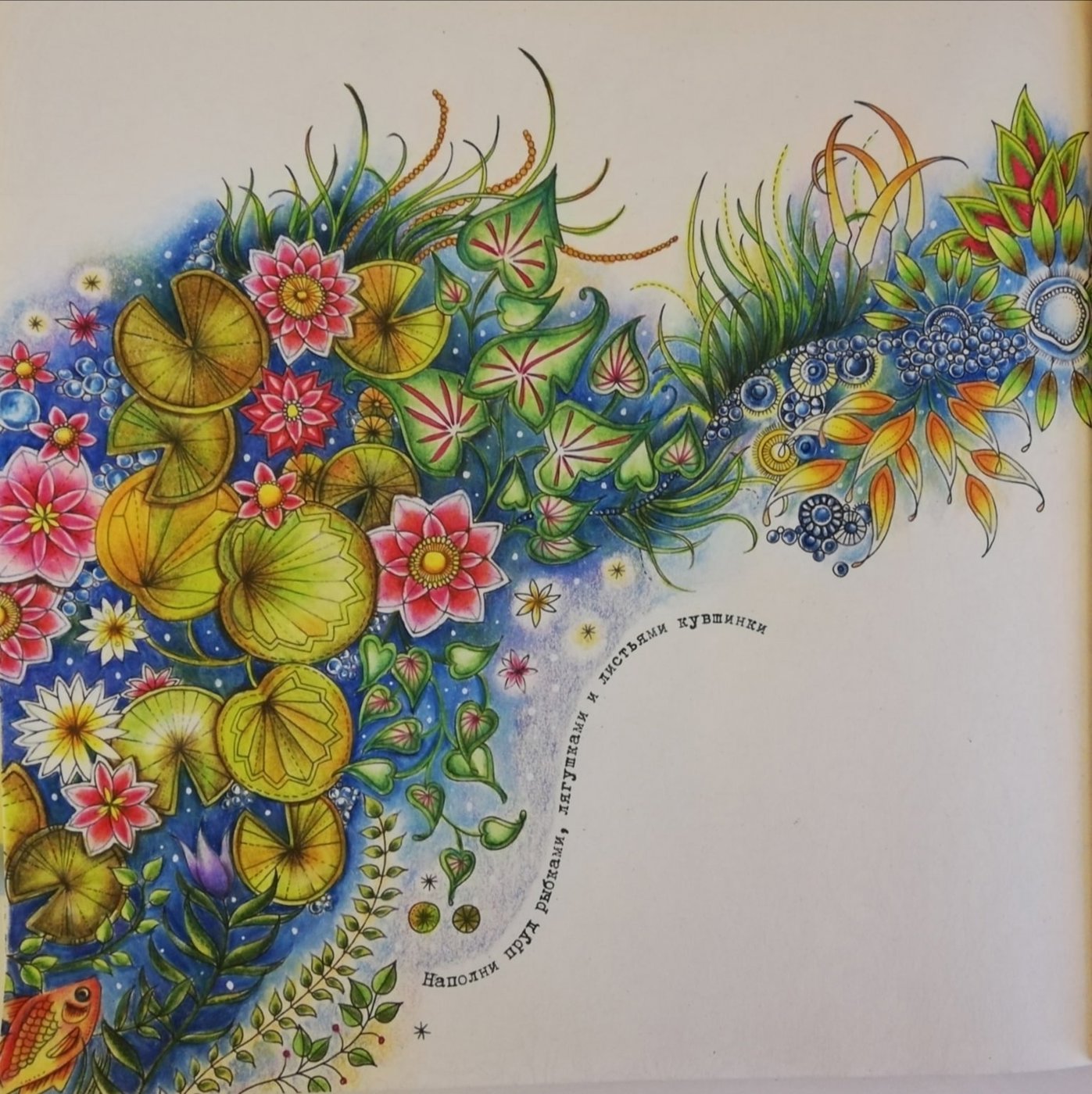 Работа от Irina_coloring_hobby (3/3)