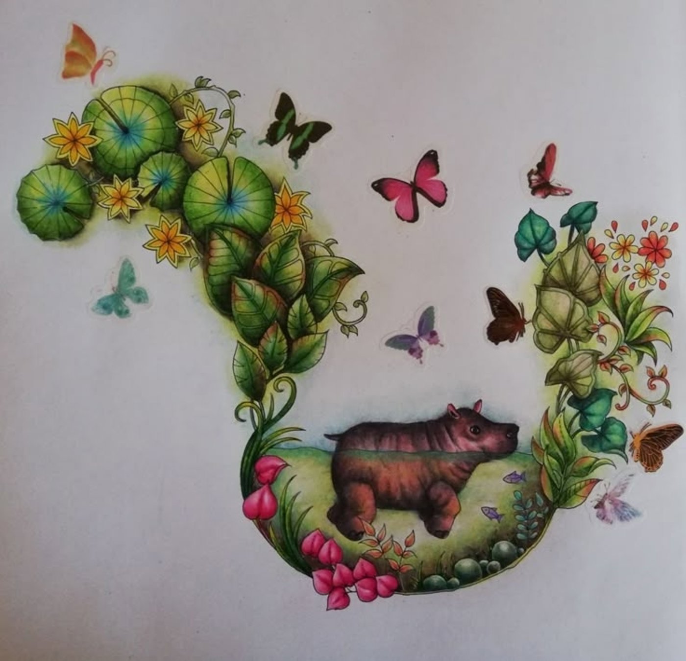 Работа от Irina_coloring_hobby