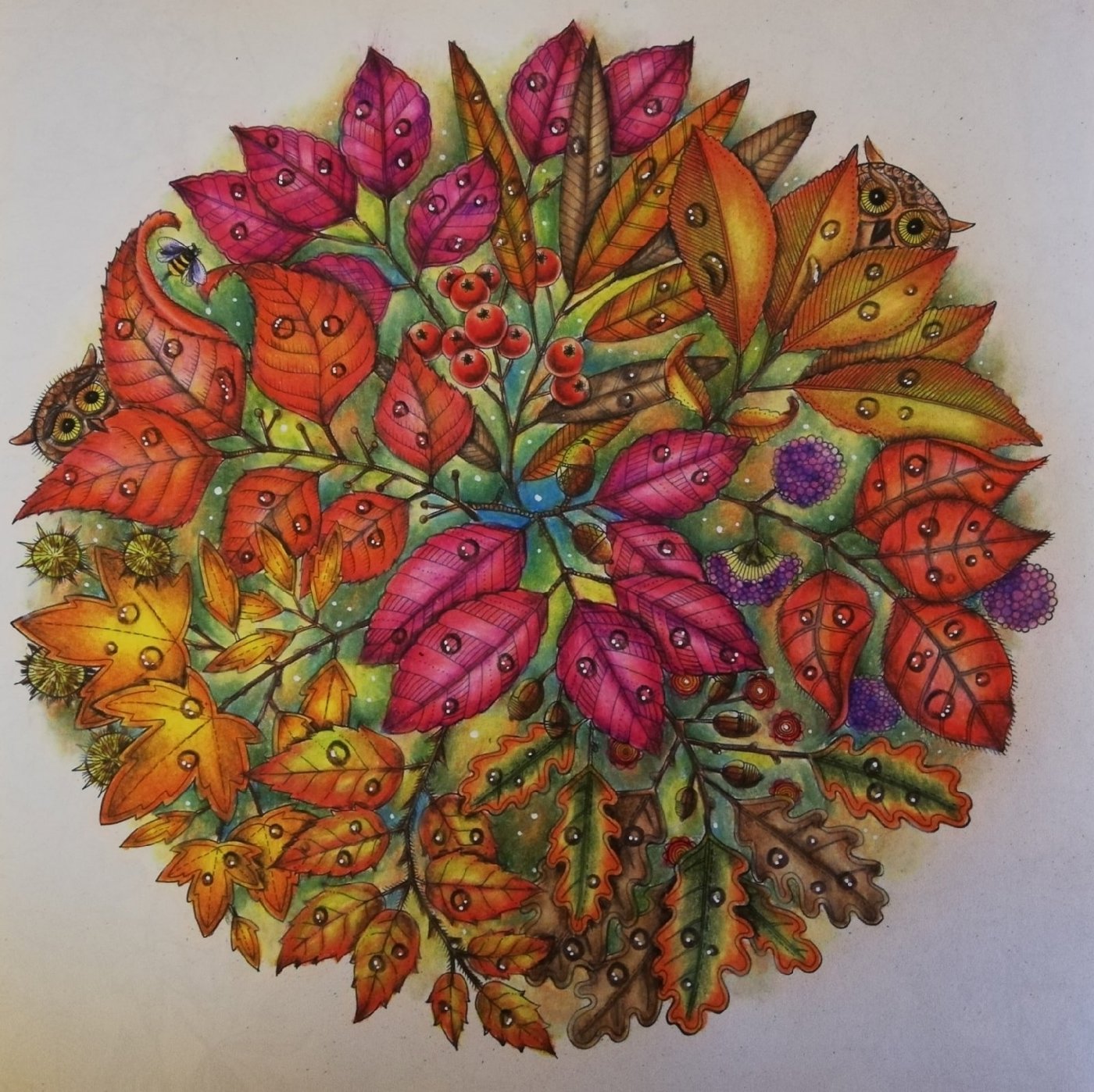 Работа от Irina_coloring_hobby