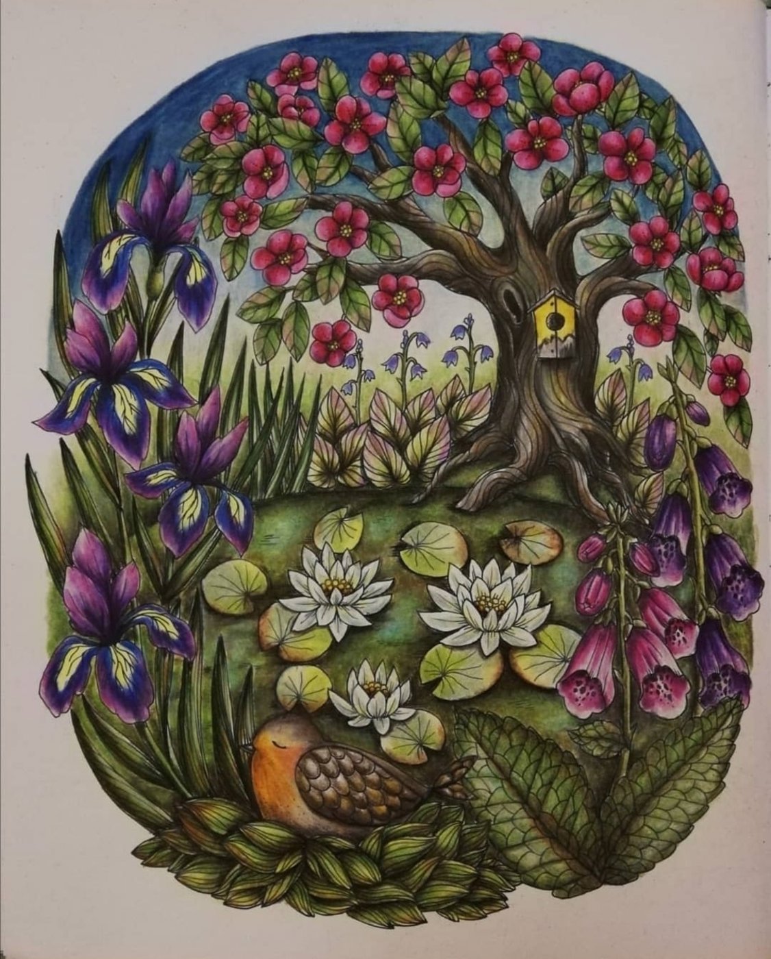 Работа от Irina_coloring_hobby