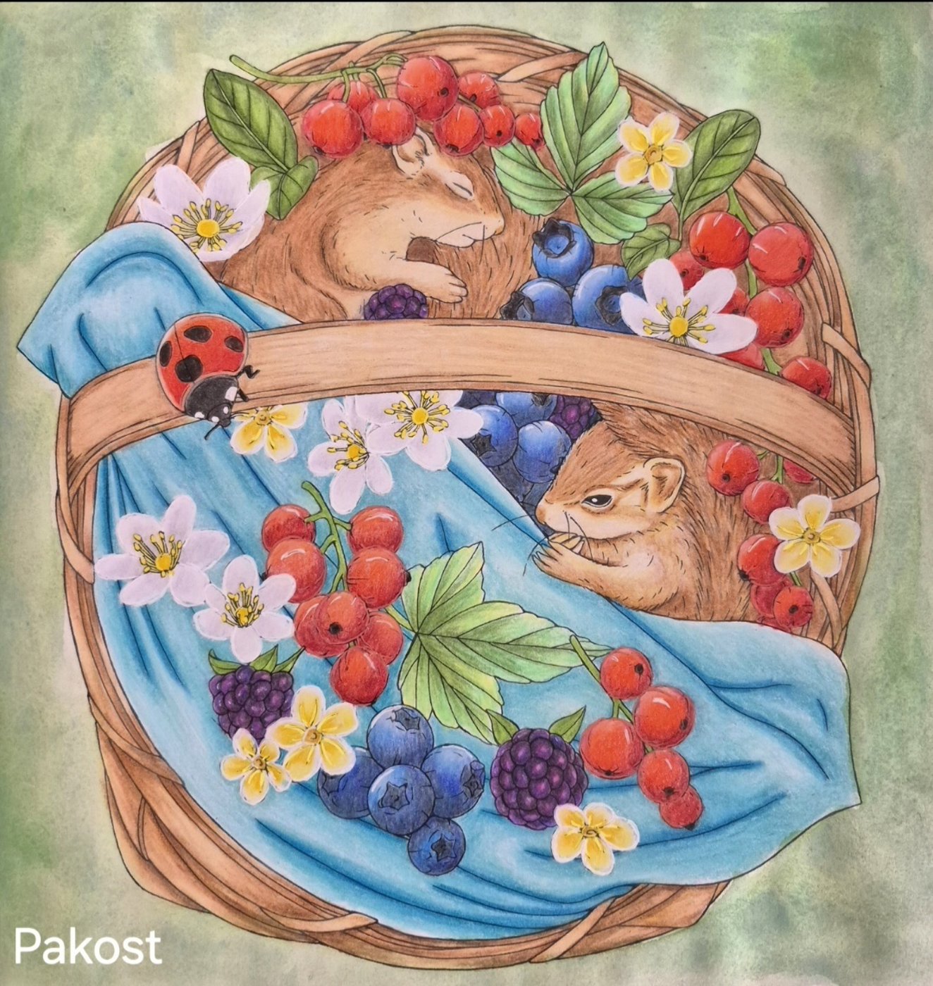 Работа от Elen Pakost