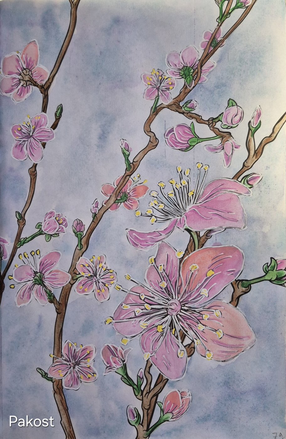 Работа от Elen Pakost