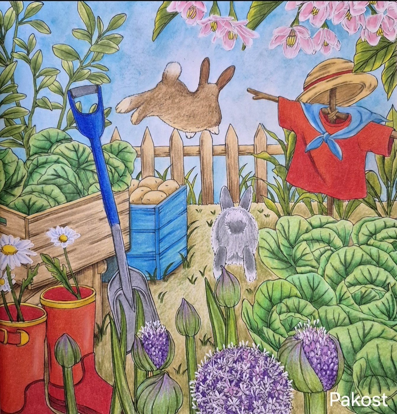 Работа от Elen Pakost