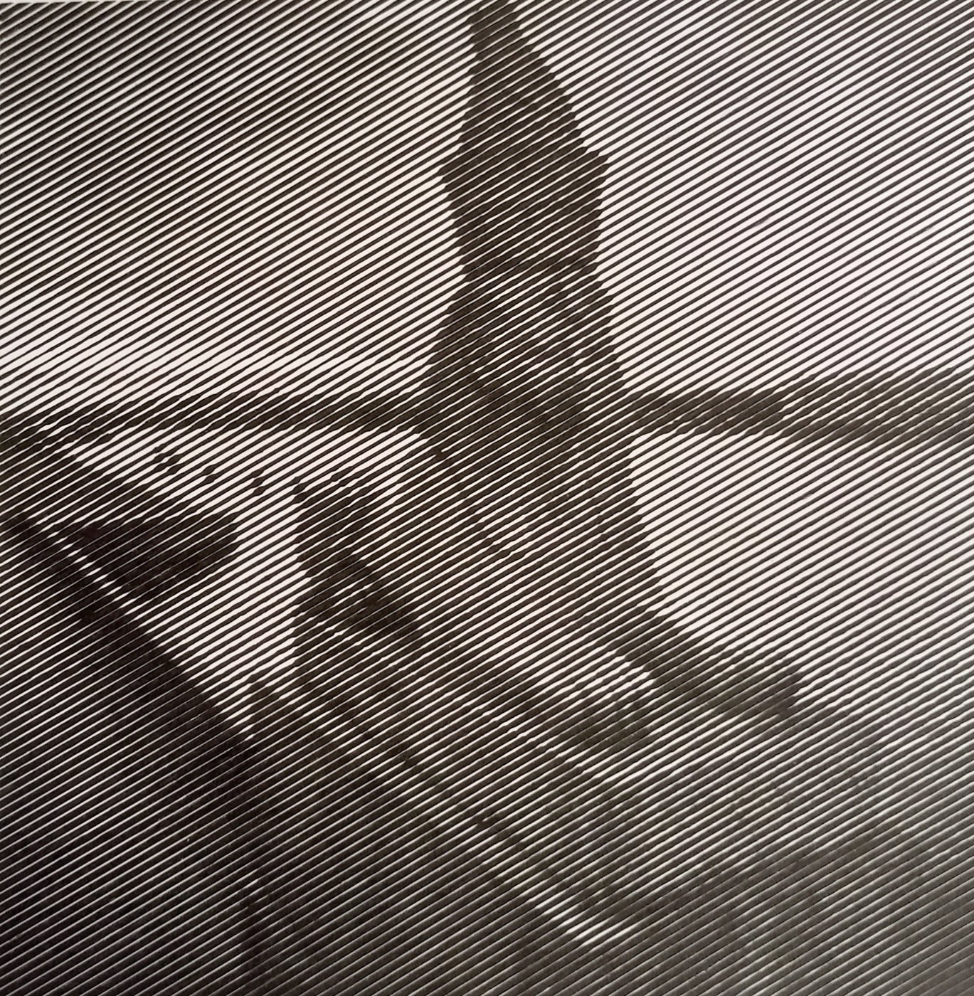 Сфинкс на Университетской набережной (г. Санкт-Петербург) от Дина