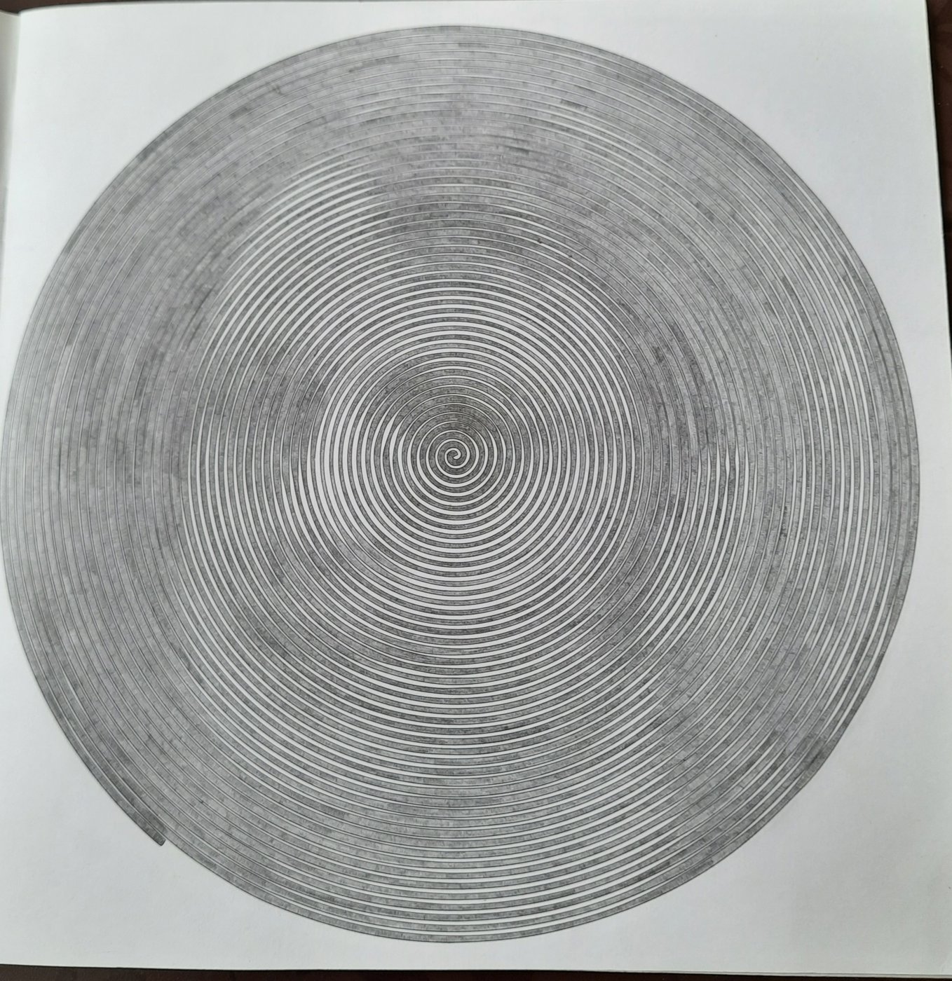 Работа от Veronika Podoplelova