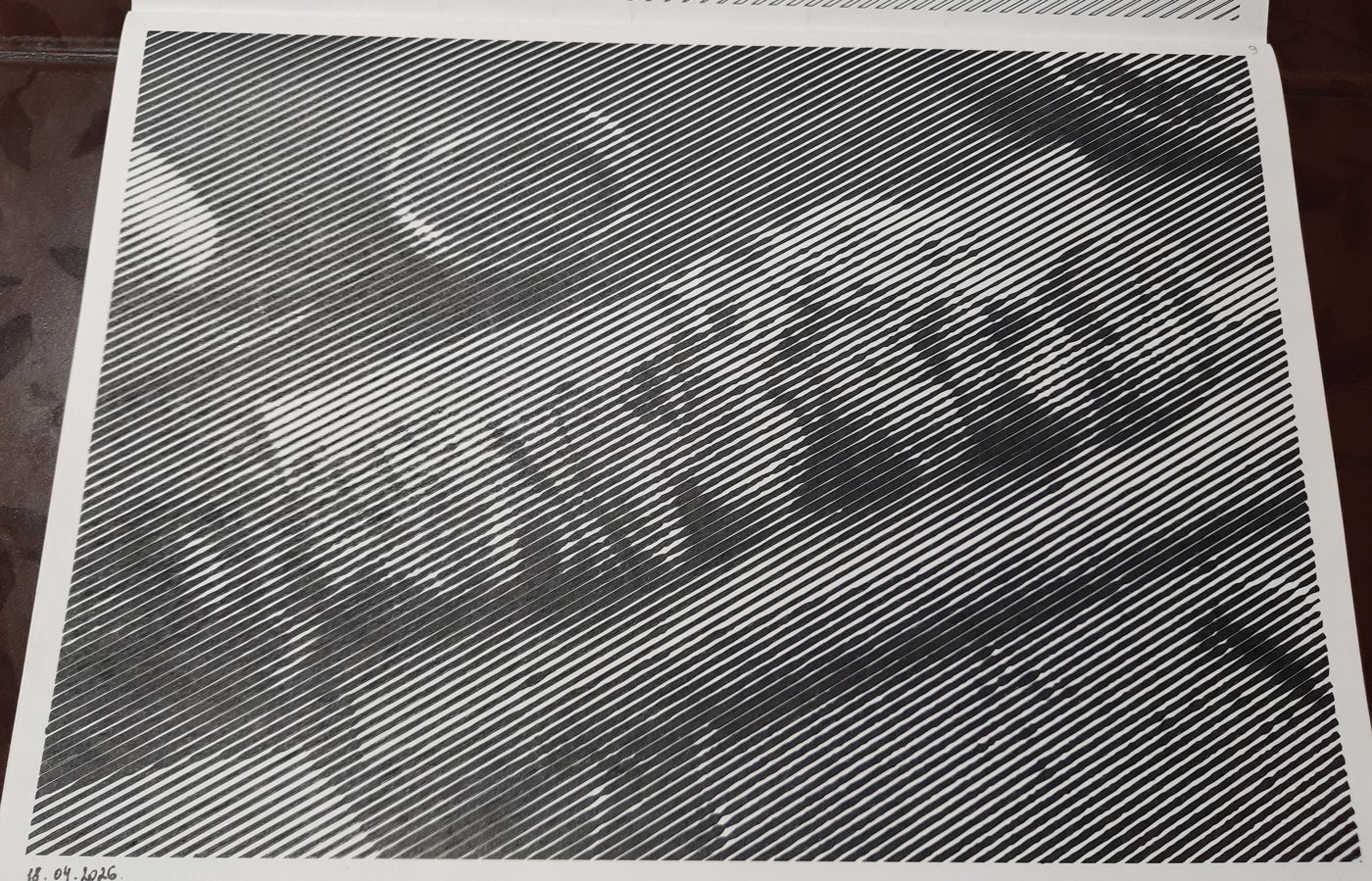 Работа от Veronika Podoplelova