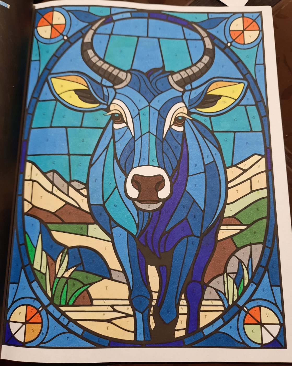 Работа от Veronika Podoplelova