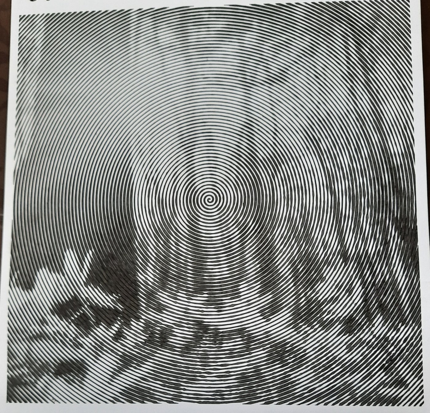 Работа от Veronika Podoplelova