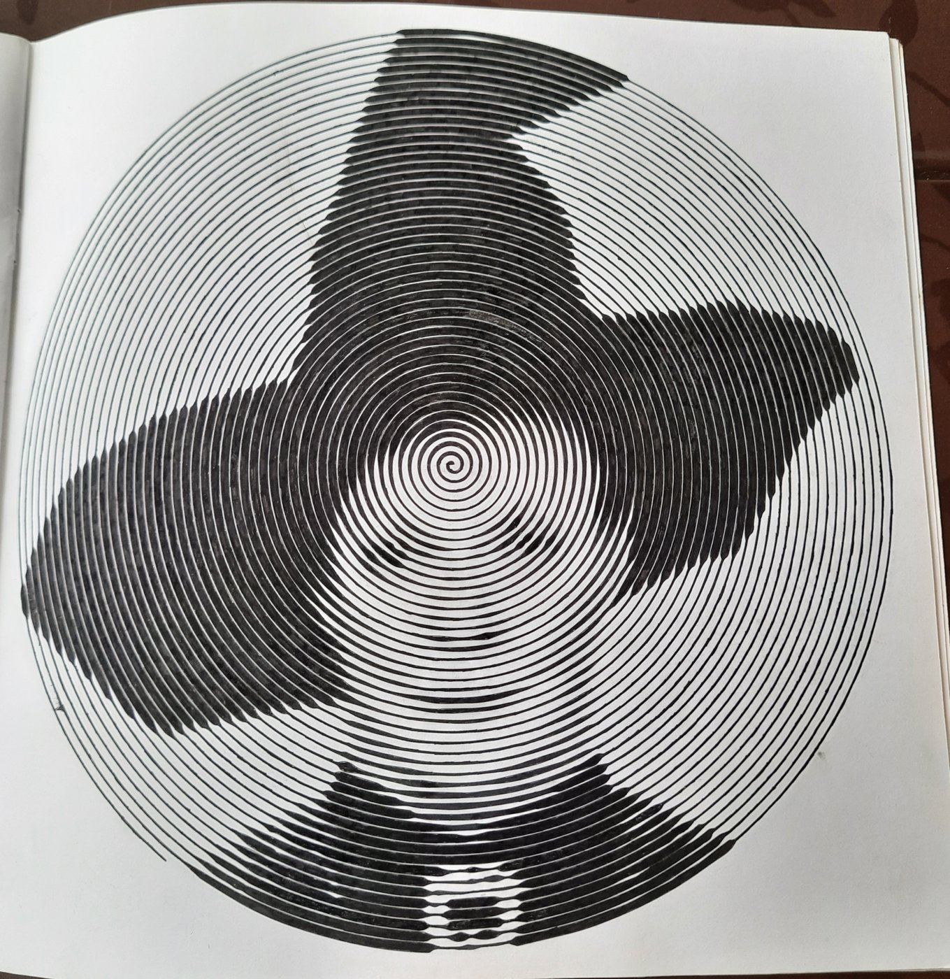 Работа от Veronika Podoplelova