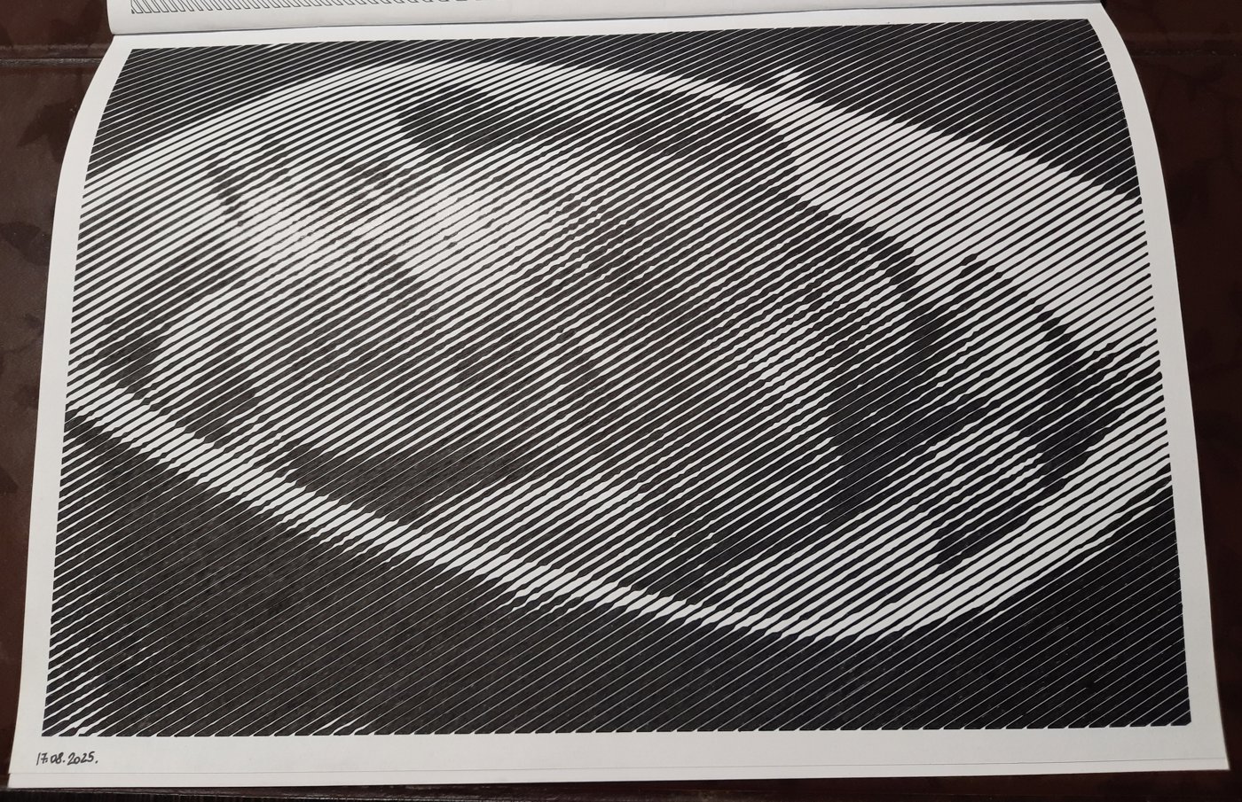 Работа от Veronika Podoplelova