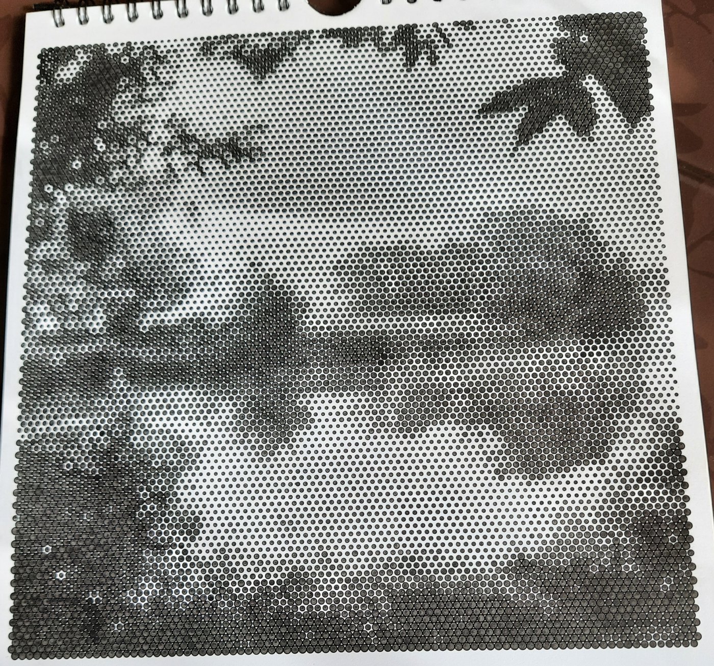 Работа от Veronika Podoplelova