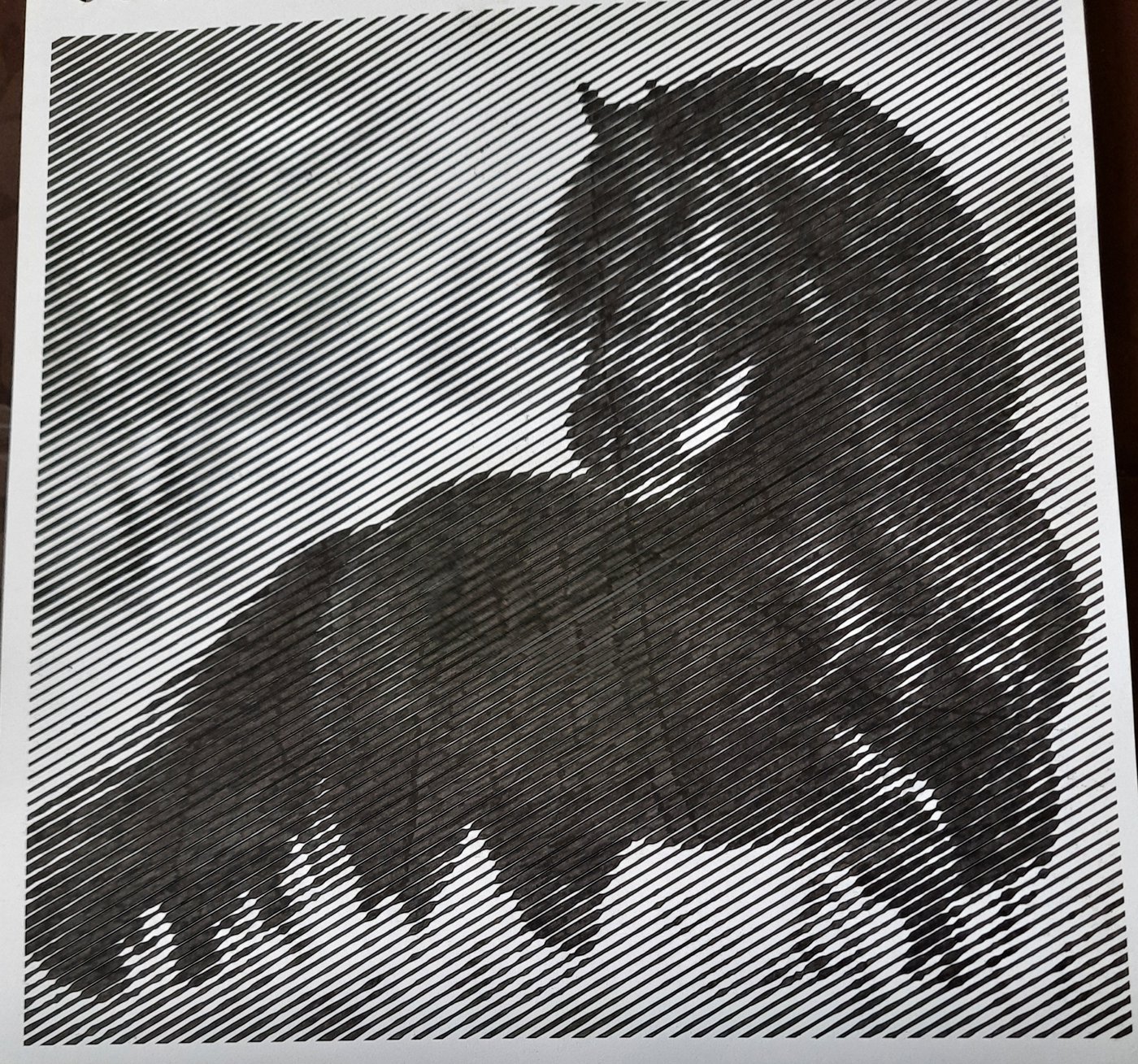 Работа от Veronika Podoplelova